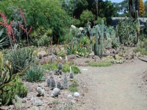 Southern California Homes & Gardens in Coastal LA